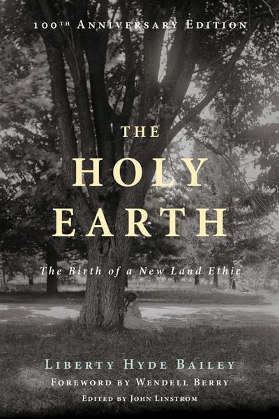 Produktbild: The Holy Earth