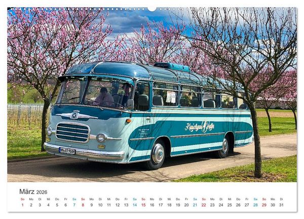 Produktbild: Omnibusse im Fokus (Wandkalender 2026 DIN A2 quer), CALVENDO Monatskalender