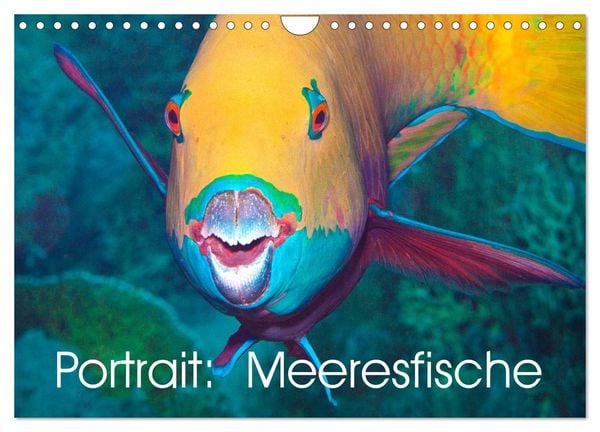 Produktbild: Portrait: Meeresfische (Wandkalender 2026 DIN A4 quer), CALVENDO Monatskalender