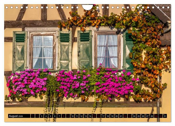 Produktbild: Augenschmaus Pfalz (Wandkalender 2026 DIN A4 quer), CALVENDO Monatskalender