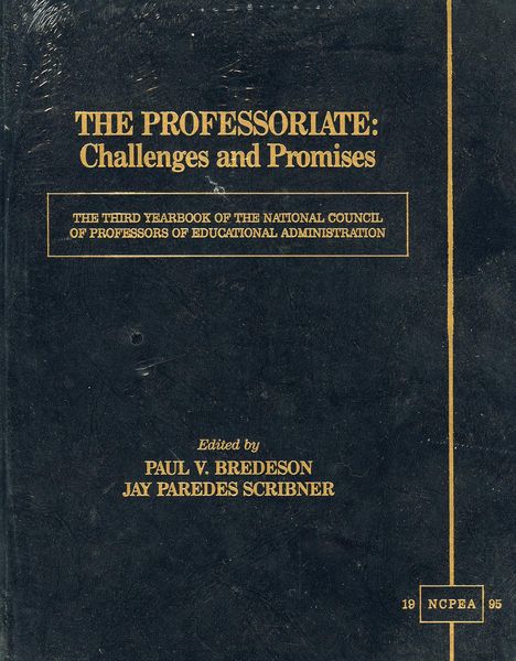Produktbild: The Professoriate: Challenges and Promises