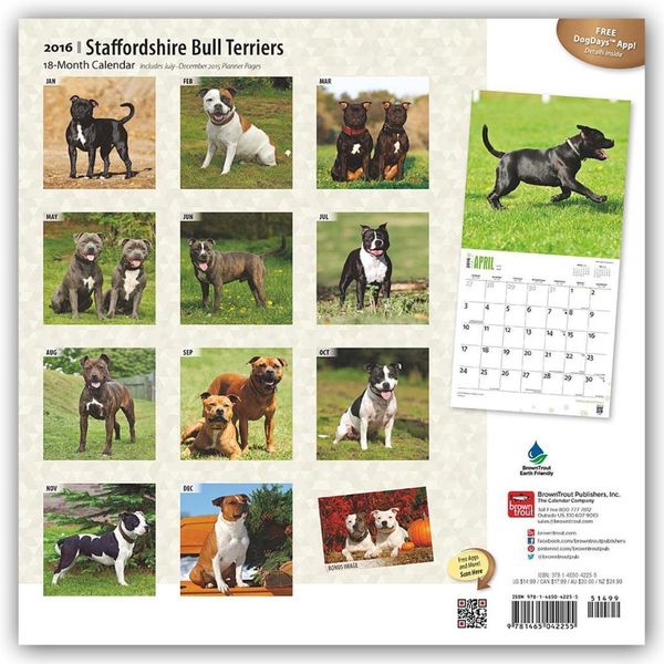 Produktbild: Staffordshire Bull Terriers 2016 - Bull Terrier - 18-Monatskalender mit freier DogDays-App