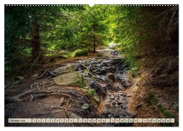 Produktbild: Deutschland - Nationalparks (hochwertiger Premium Wandkalender 2026 DIN A2 quer), Kunstdruck in Hochglanz