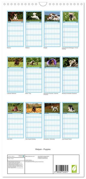 Produktbild: Familienplaner 2026 - Welpen - Puppies mit 5 Spalten (Wandkalender, 21 x 45 cm) CALVENDO