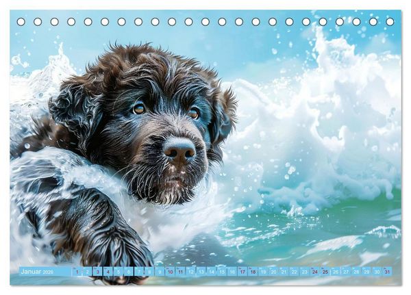 Produktbild: Hunde und Wasser (Tischkalender 2026 DIN A5 quer), CALVENDO Monatskalender