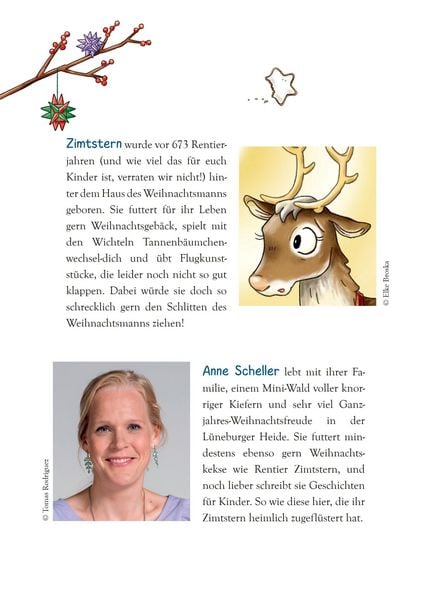 Produktbild: Ein Rentier namens Zimtstern - Ein Adventskalenderbuch in 24 Kapiteln