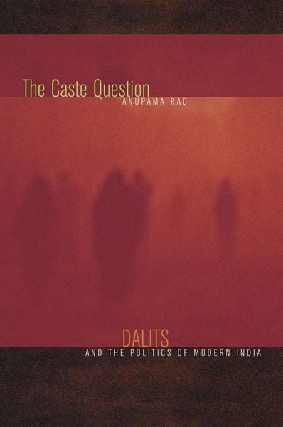 Produktbild: The Caste Question