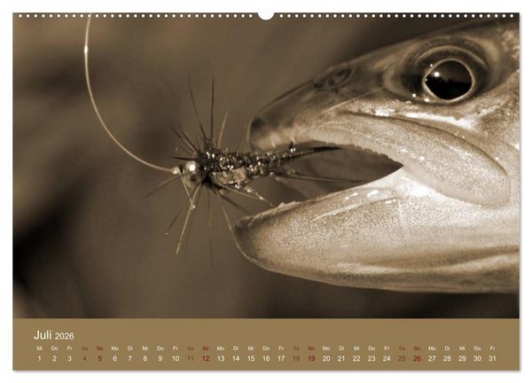 Produktbild: Fliegenfischen (Wandkalender 2026 DIN A2 quer), CALVENDO Monatskalender