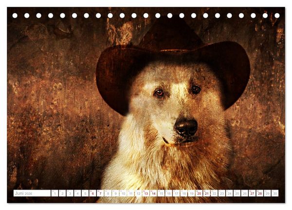 Produktbild: Hund tr&auml;gt Hut (Tischkalender 2026 DIN A5 quer), CALVENDO Monatskalender