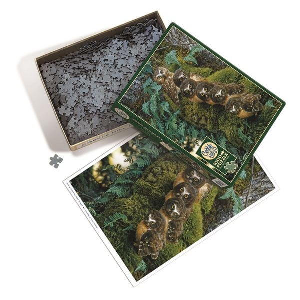 Produktbild: COBBLE HILL PUZZLES - Stammbaum 1000 Teile