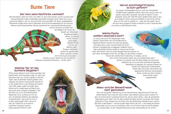 Was willst du wissen? Das große Fragen- und Antwortenbuch – Tiere
