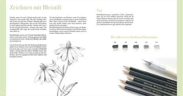 Produktbild: Das wundervolle Buch der Waldmotive