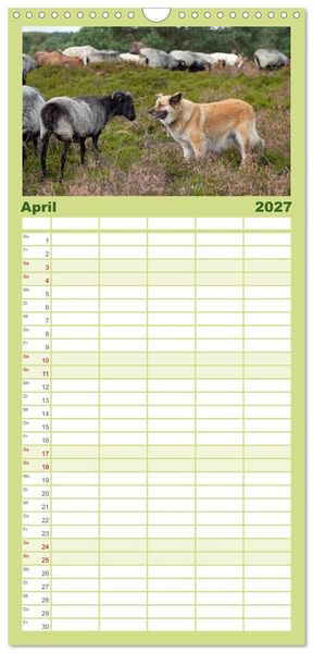 Produktbild: Familienplaner 2027 - Die L&uuml;neburger Heide - Ausflugsziel im Norden mit 5 Spalten (Wandkalender, 21 x 45 cm) CALVENDO