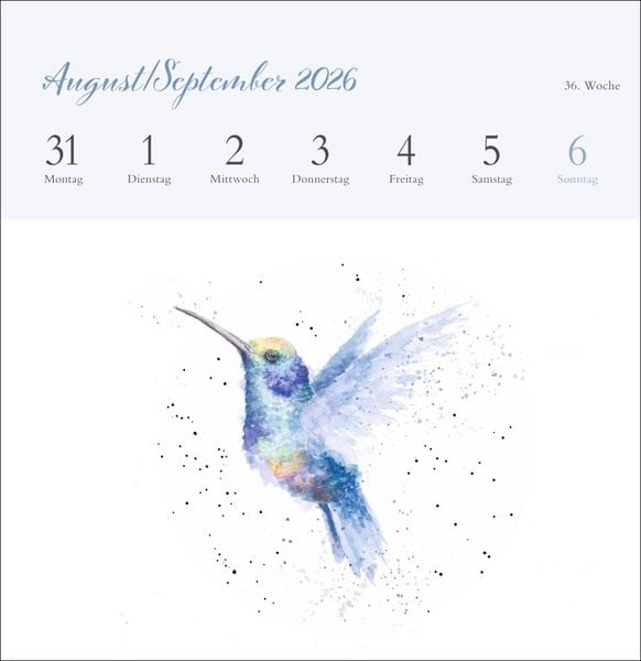 Produktbild: Hannah Dale: Happy Animals Premium-Postkartenkalender 2026