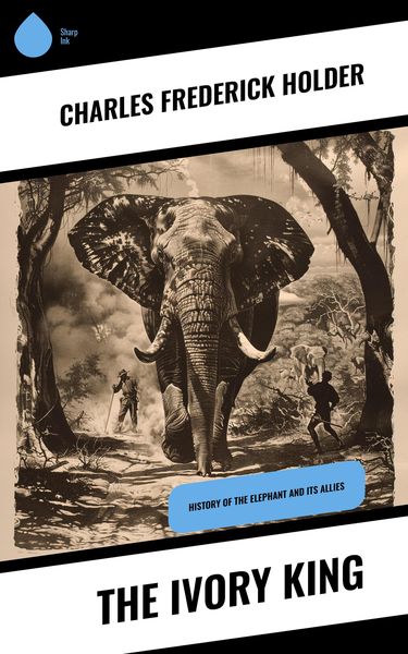 Produktbild: The Ivory King