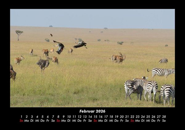 Produktbild: Der Tierkalender 2026 Fotokalender DIN A3