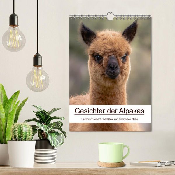 Produktbild: Gesichter der Alpakas - Unverwechselbare Charaktere und einzigartige Blicke (Wandkalender 2026 DIN A4 hoch), CALVENDO Monatskalender