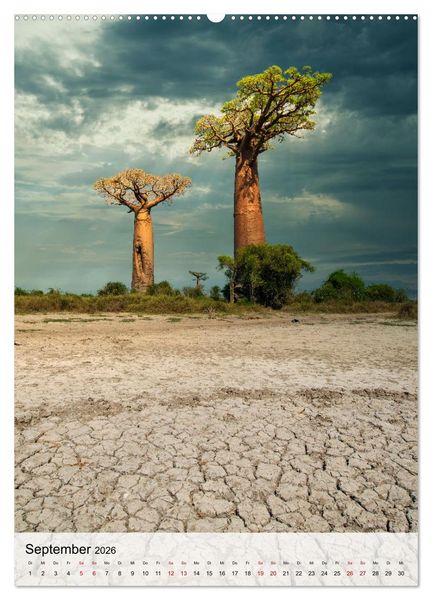 Produktbild: MADAGASKAR: Baobabs, Lemuren, Naturwunder (hochwertiger Premium Wandkalender 2026 DIN A2 hoch), Kunstdruck in Hochglanz