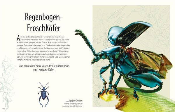 Produktbild: Wundervolle Welt der Insekten und Spinnentiere
