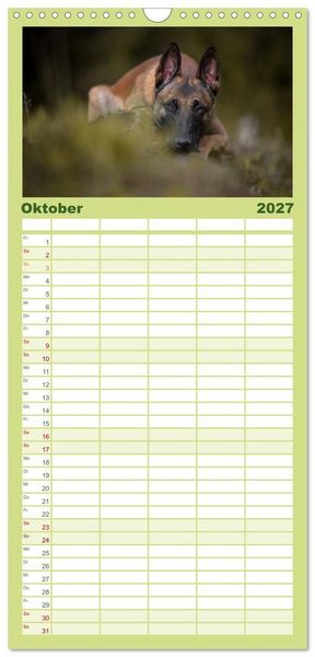 Produktbild: Familienplaner 2027 - Belgischer Sch&auml;ferhund - Der Malinois mit 5 Spalten (Wandkalender, 21 x 45 cm) CALVENDO