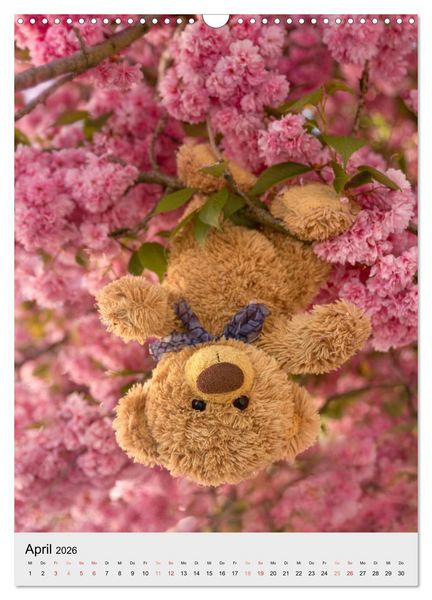 Produktbild: Travelling Teddy liebt es Bunt (Wandkalender 2026 DIN A3 hoch), CALVENDO Monatskalender