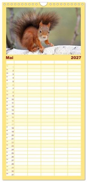 Produktbild: Familienplaner 2027 - Eichh&ouml;rnchen in zauberhaften Posen mit 5 Spalten (Wandkalender, 21 x 45 cm) CALVENDO