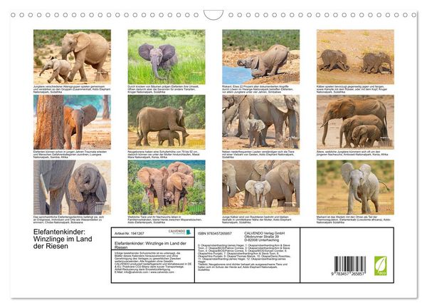 Produktbild: Elefantenkinder: Winzlinge im Land der Riesen (Wandkalender 2026 DIN A3 quer), CALVENDO Monatskalender