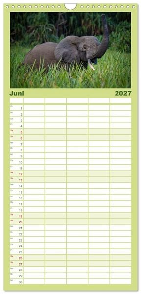 Produktbild: Familienplaner 2027 - KONGO - das dunkle Herz Afrikas mit 5 Spalten (Wandkalender, 21 x 45 cm) CALVENDO