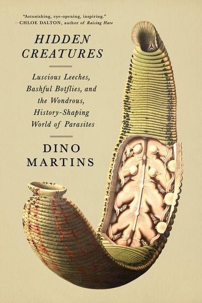 Produktbild: Hidden Creatures