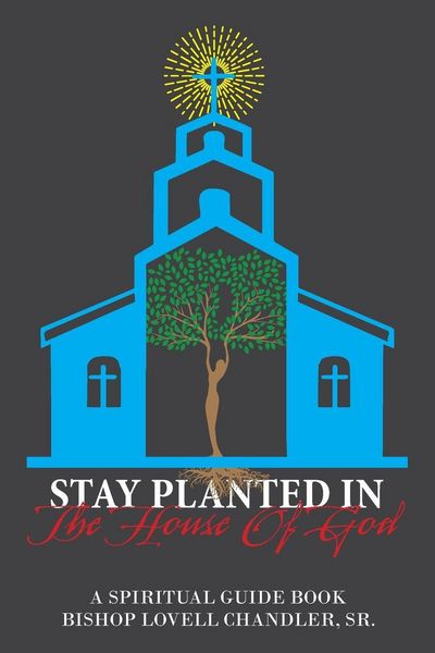 Produktbild: Stay Planted in the House of God