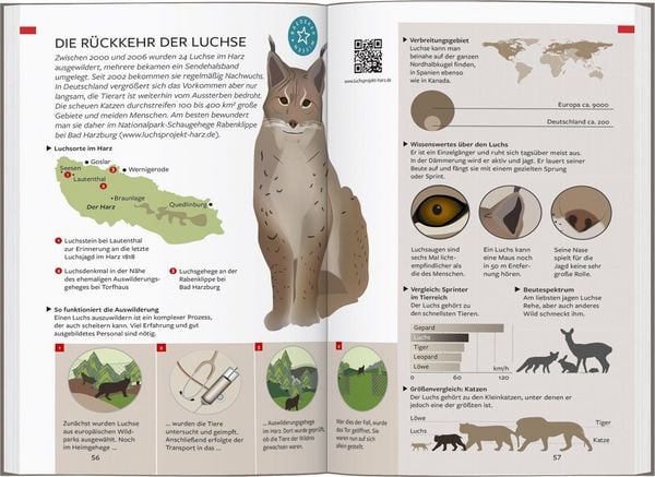 Produktbild: Baedeker Reisef&uuml;hrer Harz