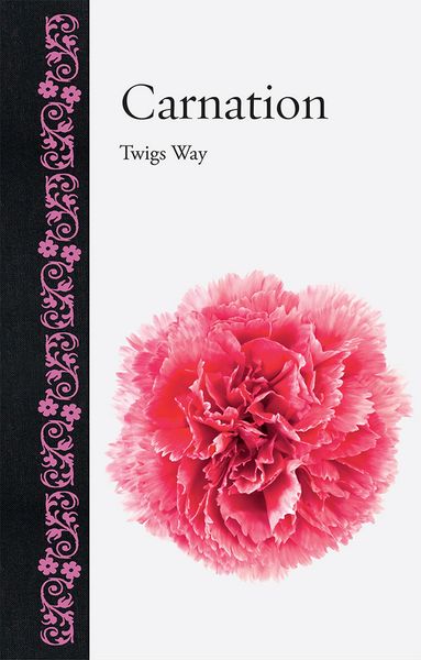Produktbild: Carnation