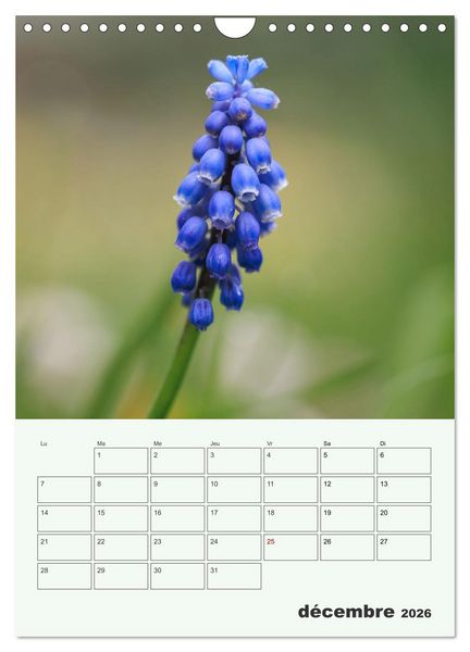Produktbild: Fleurs en toute simplicit&eacute; - Beaut&eacute; minimaliste (Calendrier mural 2026 DIN A4 horizontal), CALVENDO calendrier mensuel