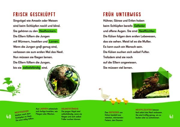 Produktbild: Dein Lesestart - V&ouml;gel