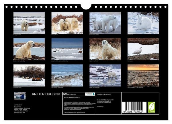 Produktbild: AN DER HUDSON BAY (Wandkalender 2026 DIN A4 quer), CALVENDO Monatskalender