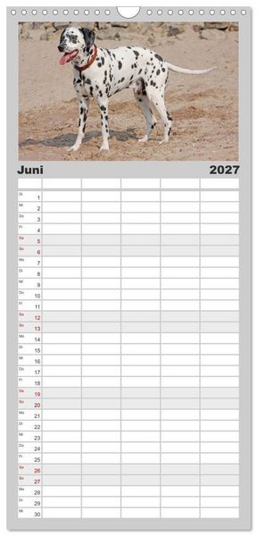 Produktbild: Familienplaner 2027 - Gefleckte Freunde - Hunderasse Dalmatiner mit 5 Spalten (Wandkalender, 21 x 45 cm) CALVENDO