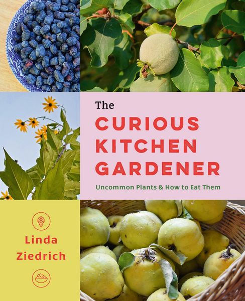 Produktbild: The Curious Kitchen Gardener