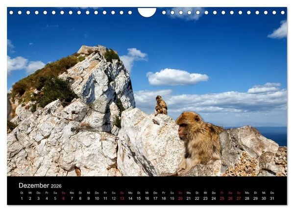 Produktbild: Gibraltar - der Affenfelsen (Wandkalender 2026 DIN A4 quer), CALVENDO Monatskalender