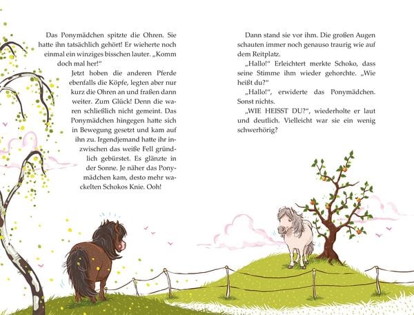 Produktbild: Die Haferhorde &ndash; Schmetterlinge im Ponybauch