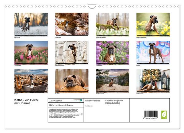 Produktbild: K&auml;the - ein Boxer mit Charme (Wandkalender 2026 DIN A3 quer), CALVENDO Monatskalender