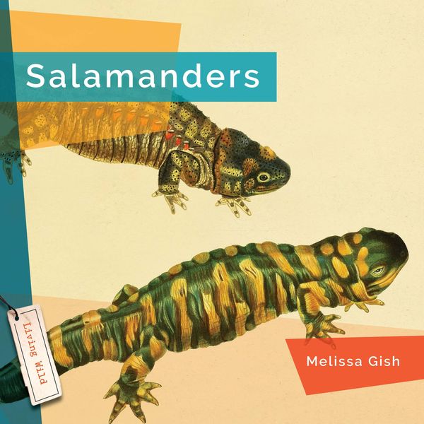 Produktbild: Salamanders