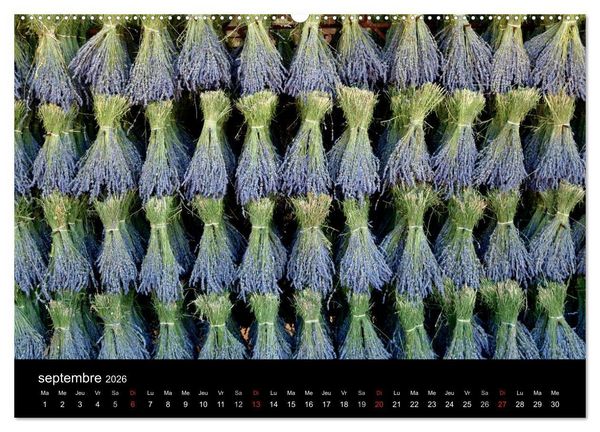 Produktbild: Lavande, l'or bleu de Provence (Calendrier mural 2026 DIN A2 vertical) calendrier de bureau