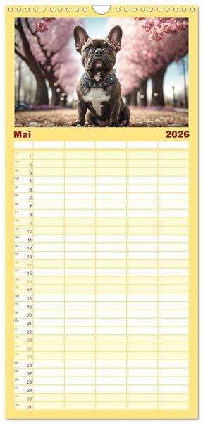 Produktbild: Familienplaner 2026 - Franz&ouml;sische Bulldoggen mit 5 Spalten (Wandkalender, 21 x 45 cm) CALVENDO