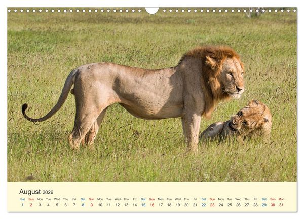 Produktbild: Wonderful Kenya (Wall Calendar 2026 DIN A3 landscape), CALVENDO 12 Month Wall Calendar