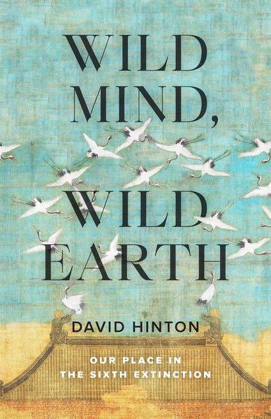 Produktbild: Wild Mind, Wild Earth