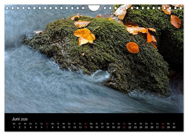 Produktbild: Herbst im Nationalpark Bayerischer Wald (Wandkalender 2026 DIN A4 quer), CALVENDO Monatskalender
