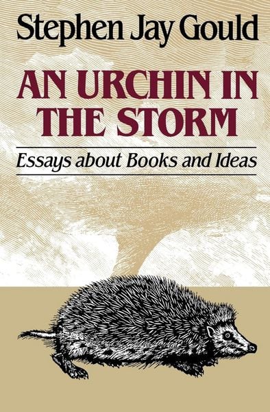 Produktbild: Urchin in the Storm