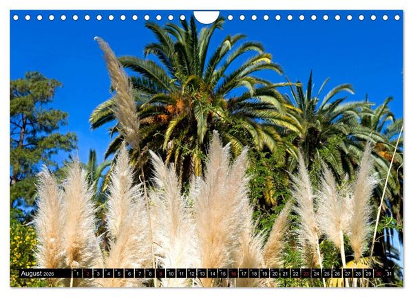 Produktbild: Zauberhafte Riviera - Die Hanbury G&auml;rten (Wandkalender 2026 DIN A4 quer), CALVENDO Monatskalender