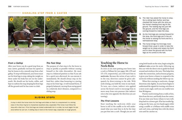 Produktbild: Storey's Guide to Training Horses, 3rd Edition