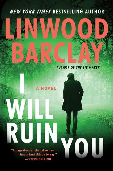 Produktbild: I Will Ruin You